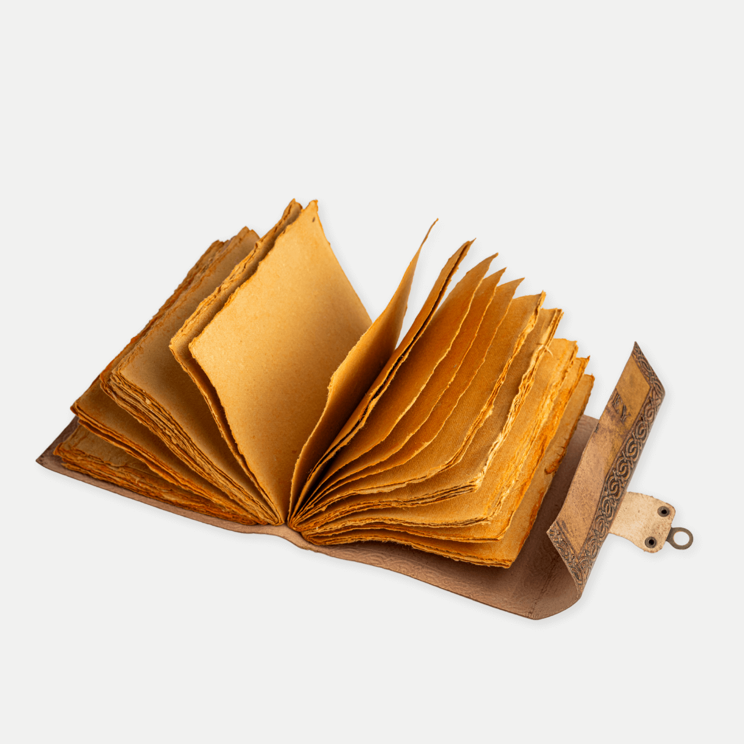 138f72bf6ea85d3366d0424da23b34f8